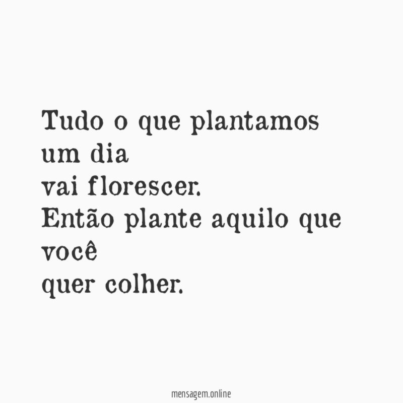 Tudo o que plantamos um dia vai florescer