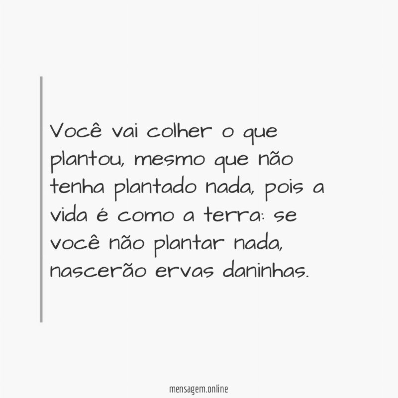 Você vai colher o que plantou