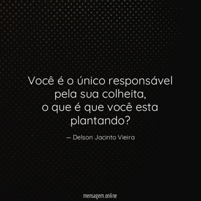 Você é o único responsável pela sua colheita