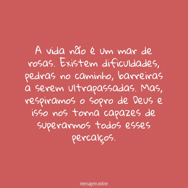 A vida não é um mar de rosas