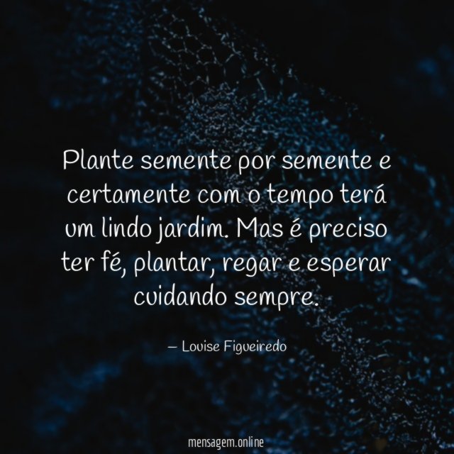 Plante semente por semente e certamente com