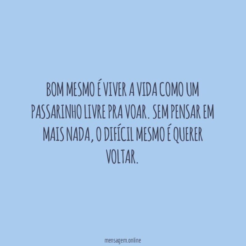 Bom mesmo é viver a vida como um passarinho livre pra voar