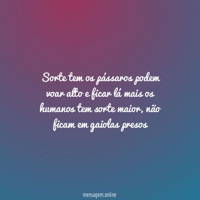 Sorte tem os pássaros podem voar alto