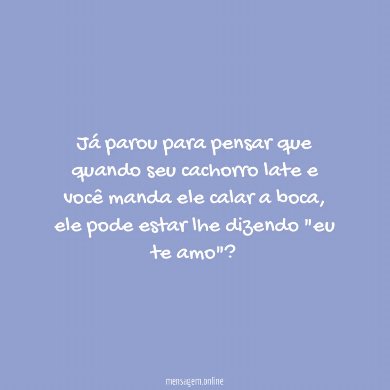 Já parou para pensar que quando seu cachorro