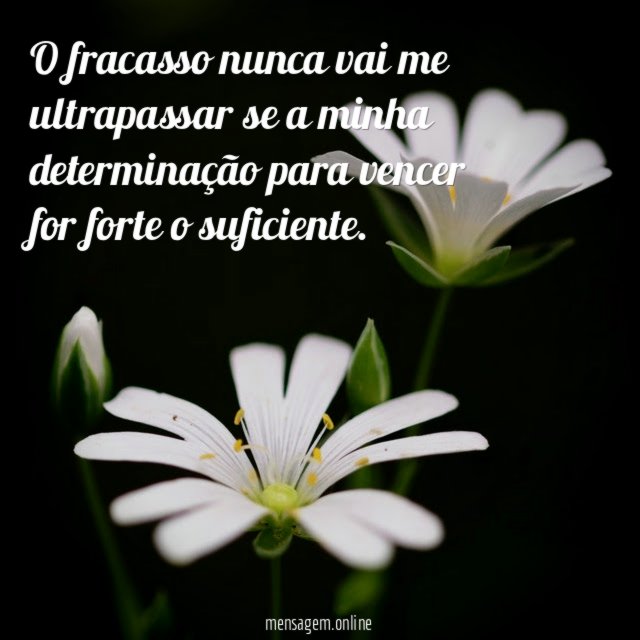 O fracasso nunca vai me ultrapassar se a