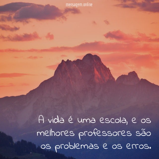 A vida é uma escola