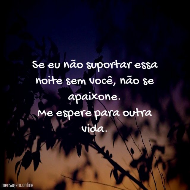 Se eu não suportar essa noite sem você