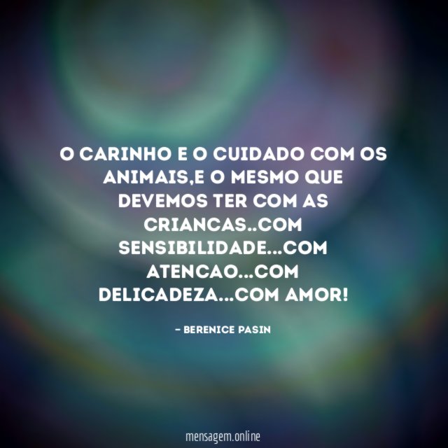 O carinho e o cuidado com os animais