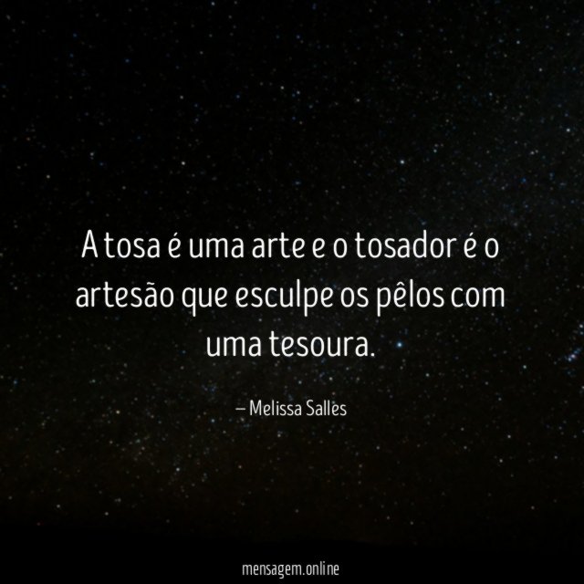 A tosa é uma arte e o tosador