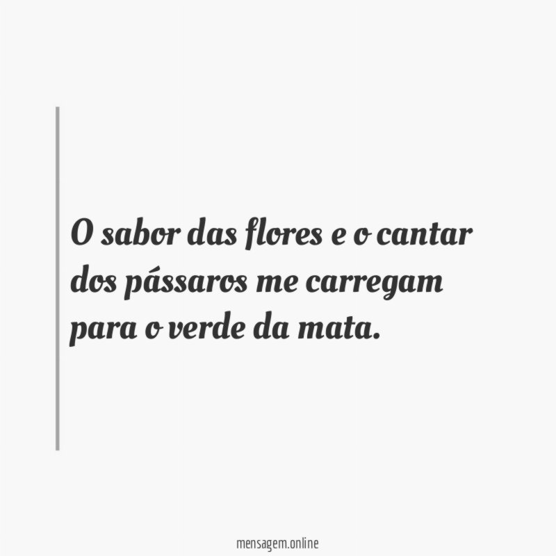 O sabor das flores e o cantar dos