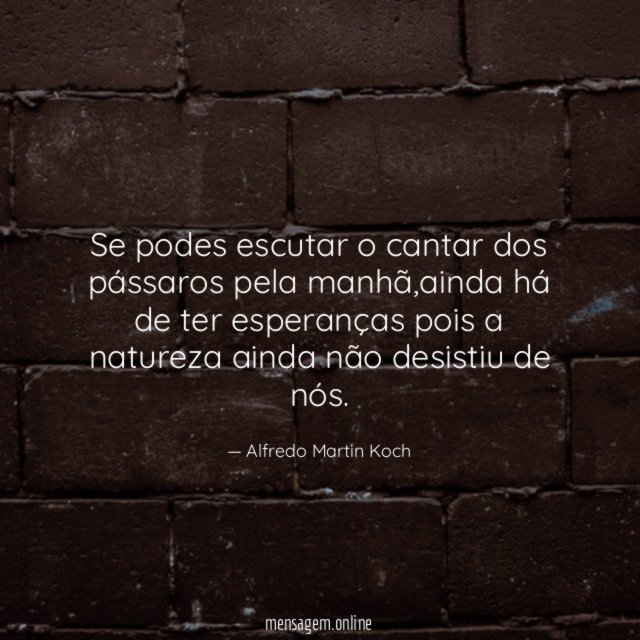 Se podes escutar o cantar dos pássaros pela manhã