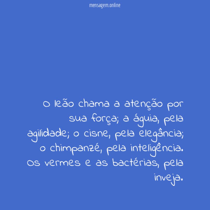 O leão chama a atenção por sua força