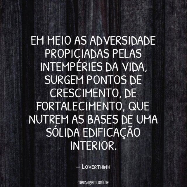 Em meio as adversidade propiciadas pelas intempéries da vida