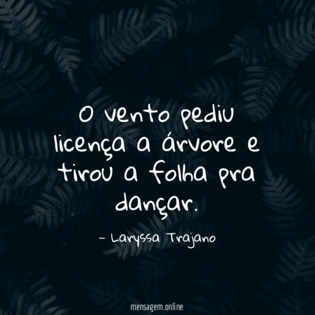 O vento pediu licença a árvore e tirou