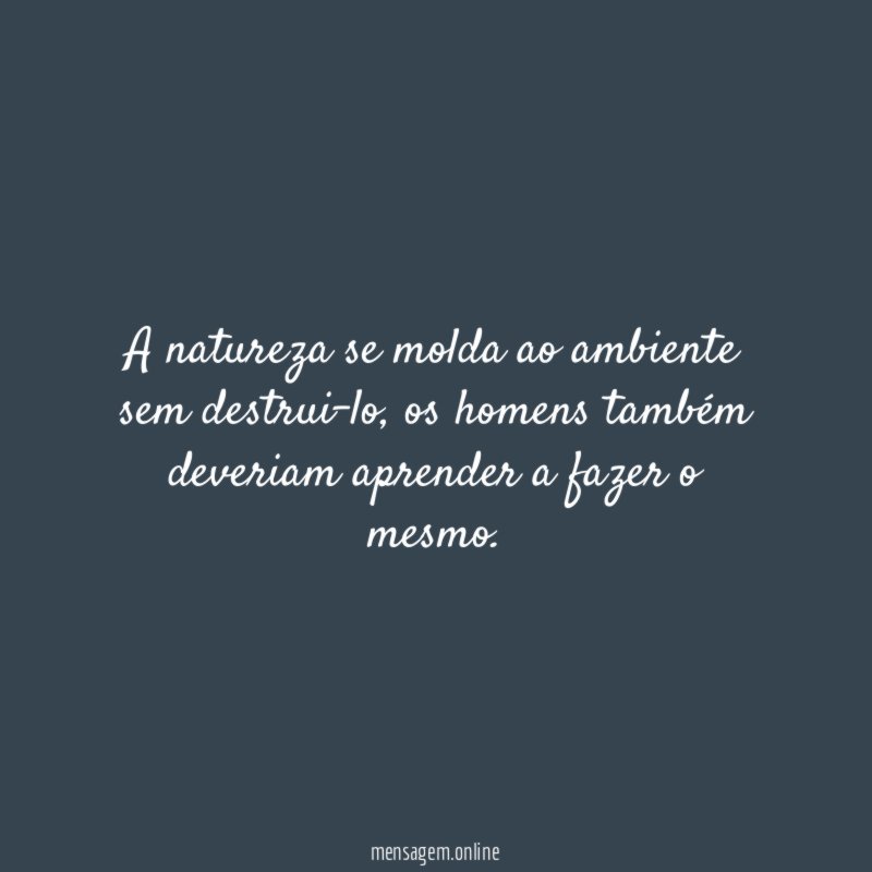 A natureza se molda ao ambiente sem destrui-lo