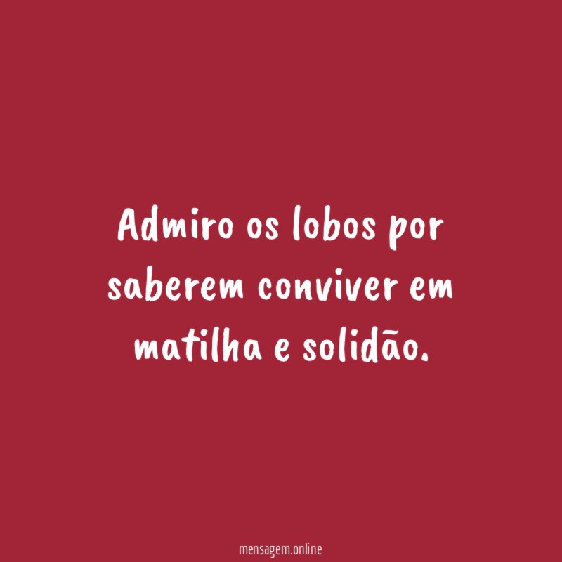 Admiro os lobos por saberem conviver em matilha e solidão