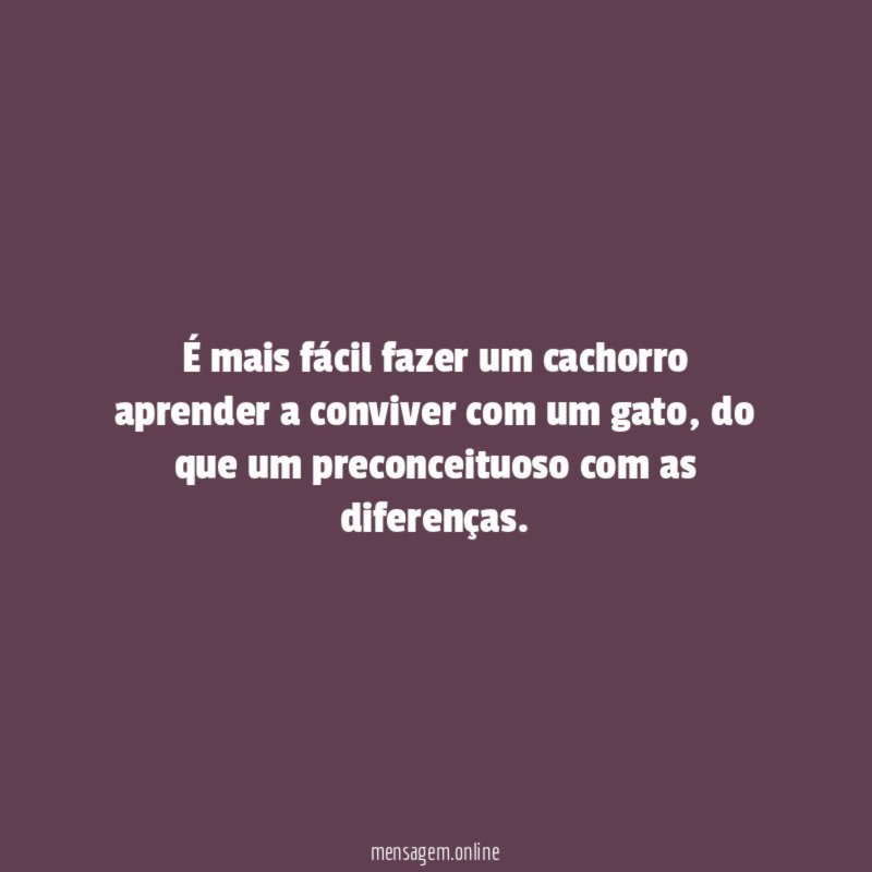 É mais fácil fazer um cachorro aprender a conviver com um gato