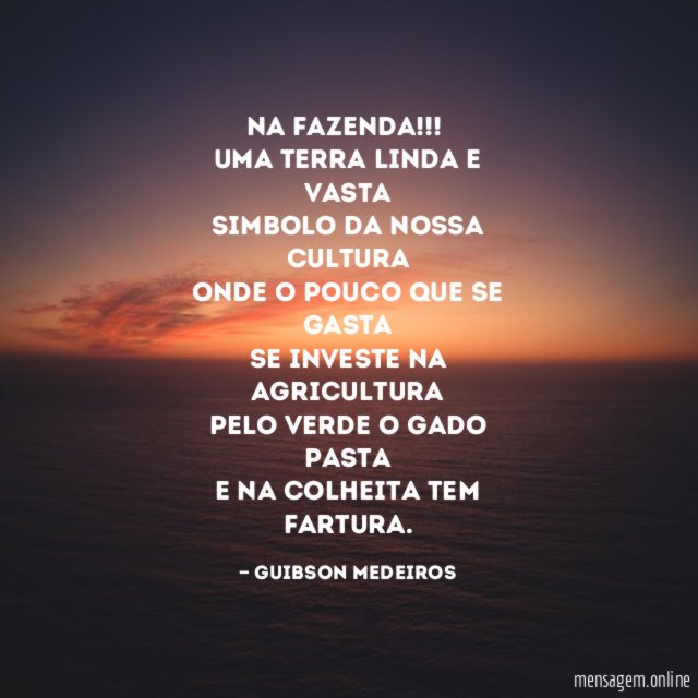 Na fazenda!!!