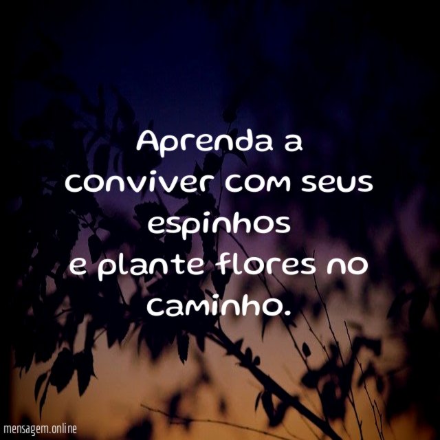 Aprenda a conviver com seus espinhos e plante flores no caminho