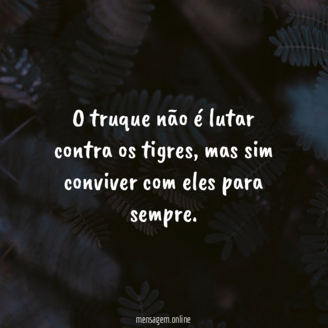 O truque não é lutar contra os tigres
