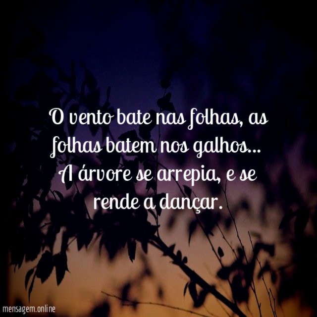 O vento bate nas folhas