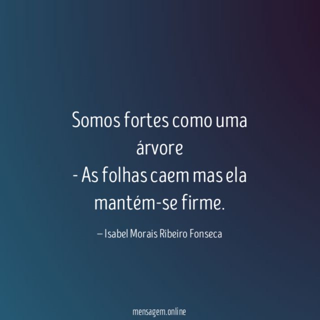 Somos fortes como uma árvore - As folhas caem