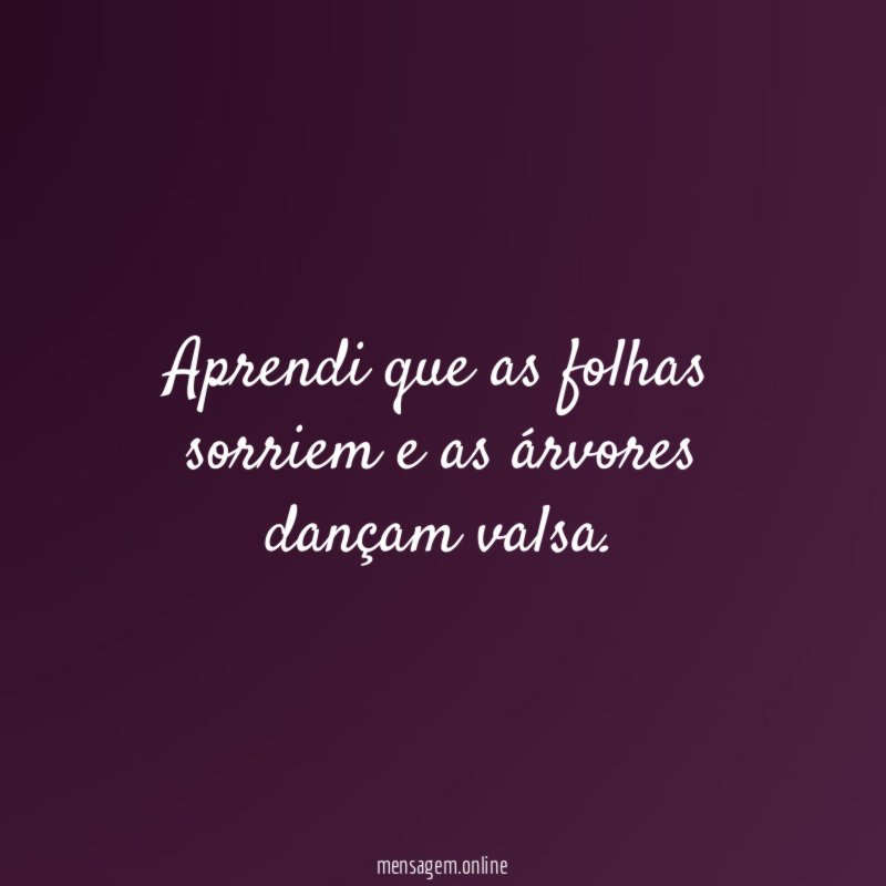 Aprendi que as folhas sorriem e as árvores dançam valsa