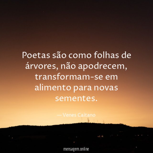 Poetas são como folhas de árvores