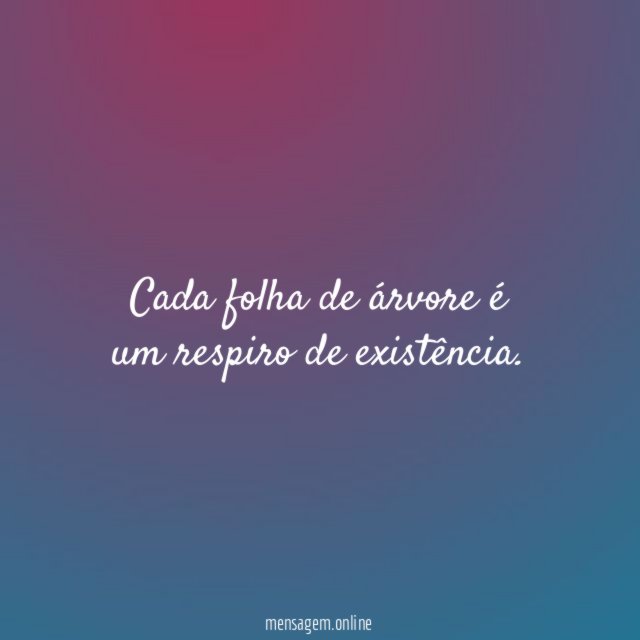 Cada folha de árvore é um respiro de existência