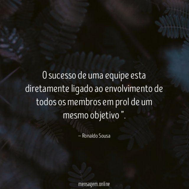 O sucesso de uma equipe esta diretamente ligado