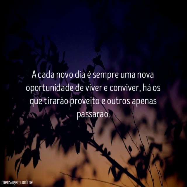 A cada novo dia é sempre uma nova oportunidade de viver e conviver