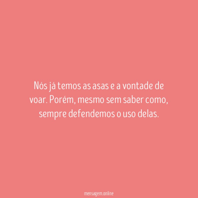 Nós já temos as asas e a vontade de voar