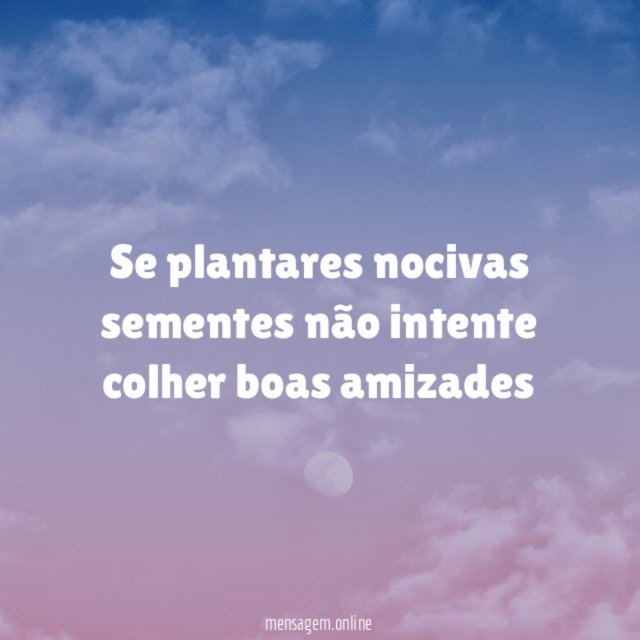 Se plantares nocivas sementes não intente colher boas amizades