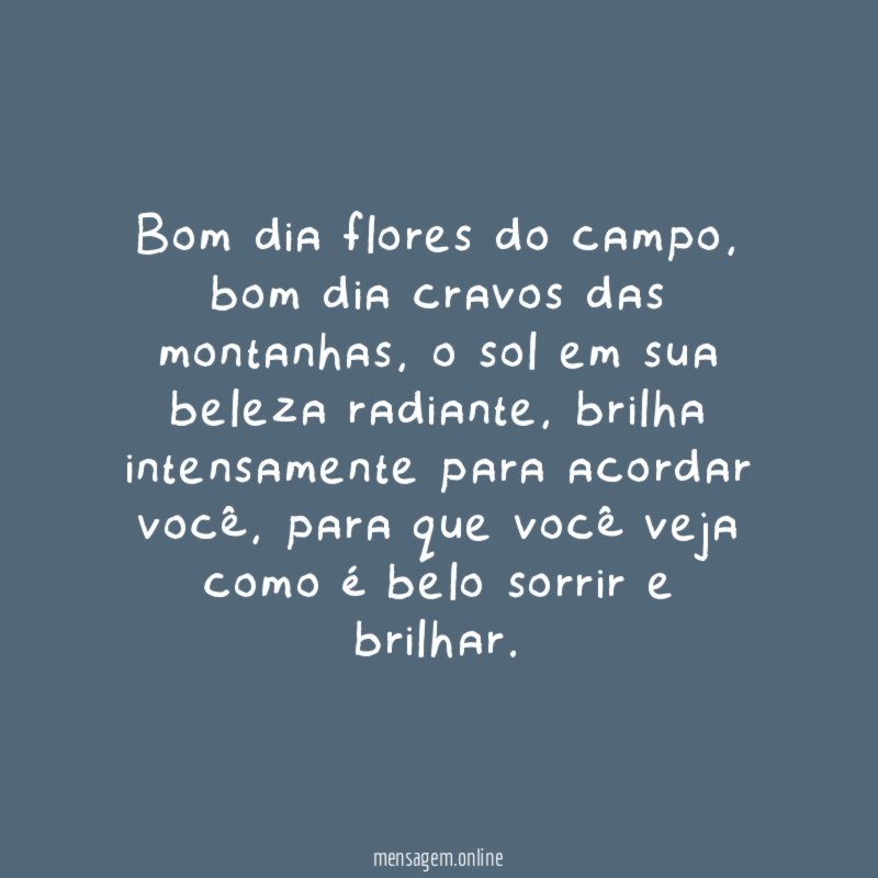 Bom dia flores do campo