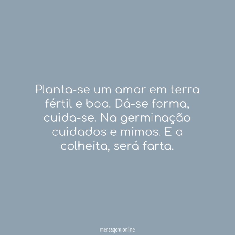 Planta-se um amor em terra fértil e boa