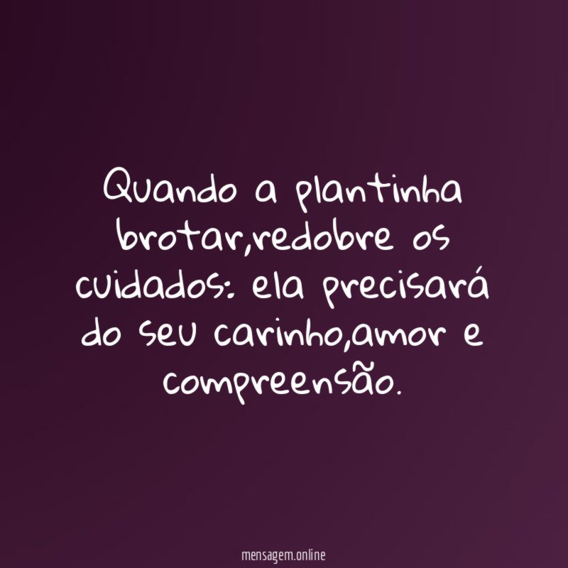 Quando a plantinha brotar