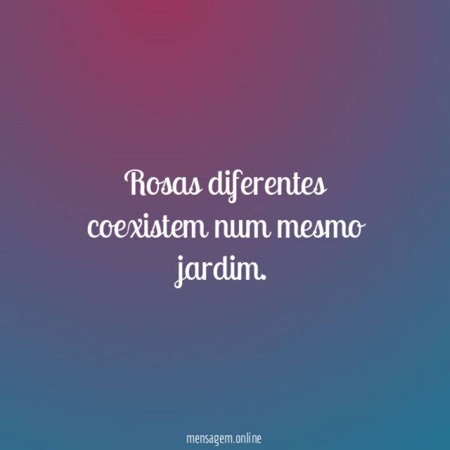 Rosas diferentes coexistem num mesmo jardim