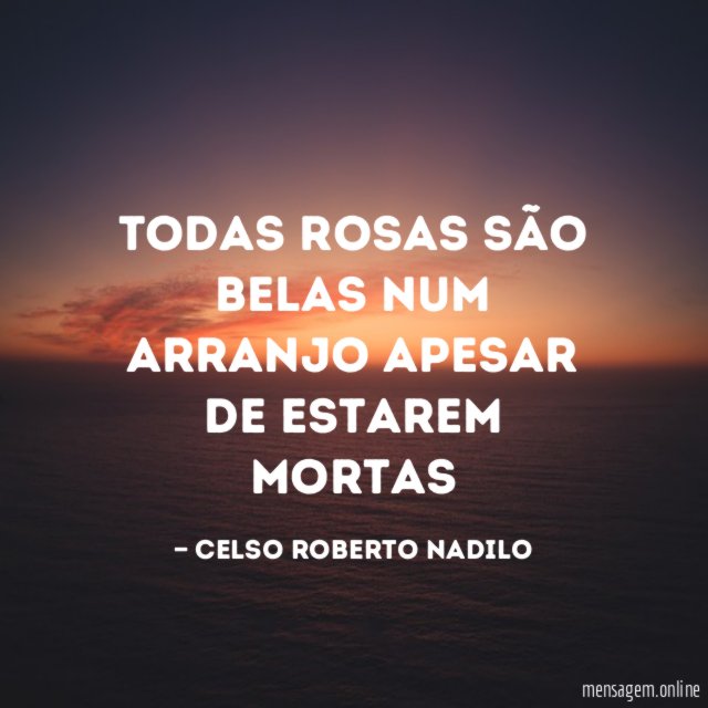 todas rosas são belas num arranjo apesar de estarem mortas