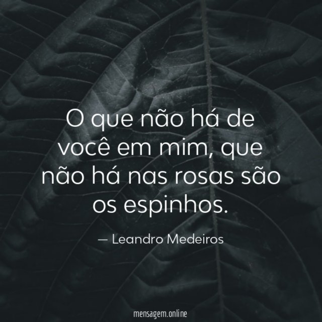 O que não há de você em mim