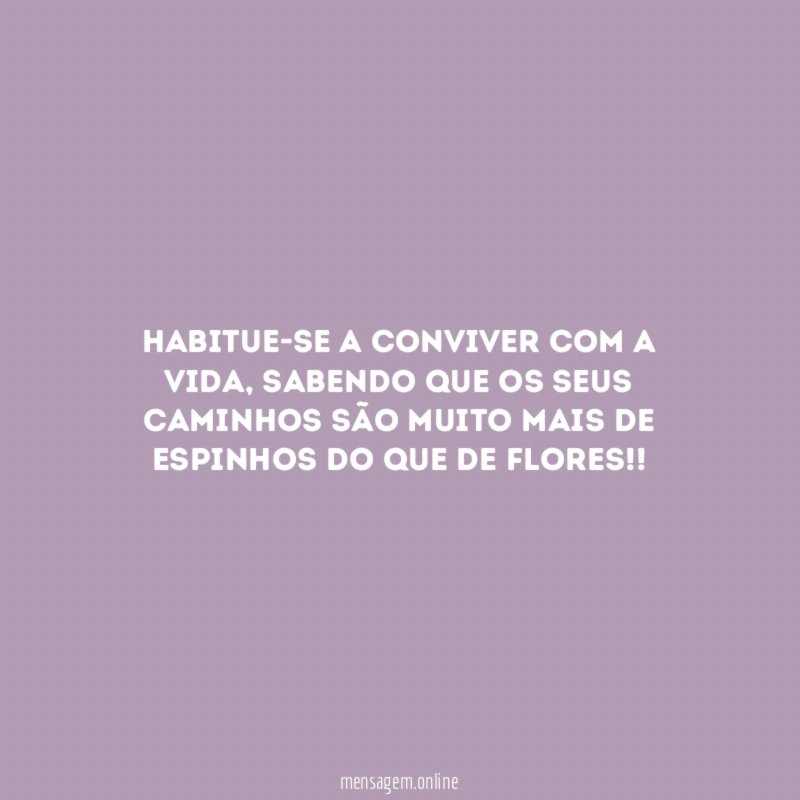 Habitue-se a conviver com a vida