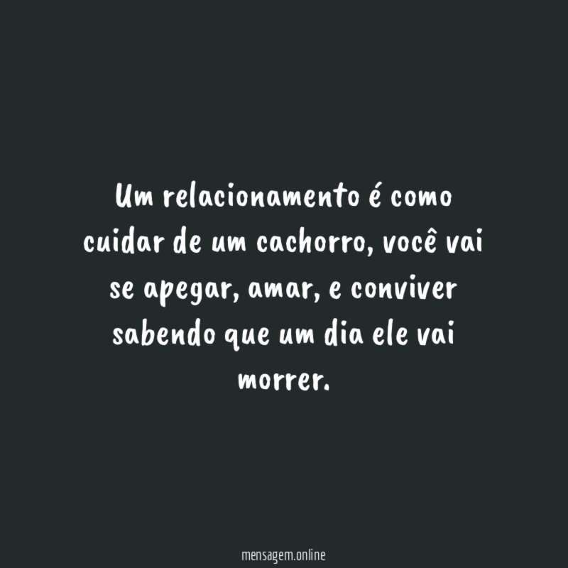 Um relacionamento é como cuidar de um cachorro