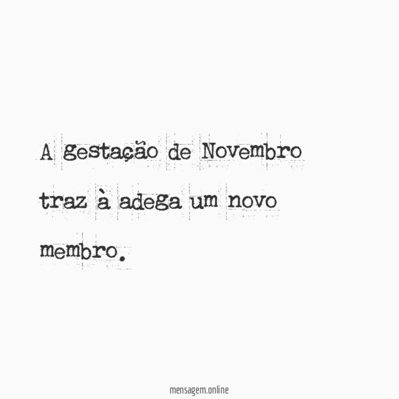 A gestação de Novembro traz à adega um novo membro