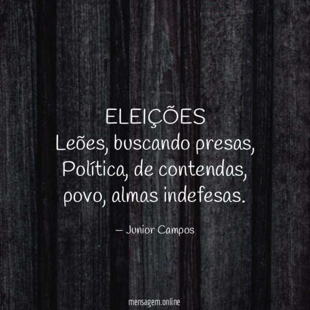 ELEIÇÕES