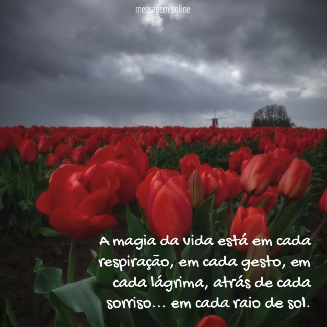A magia da vida está em cada respiração