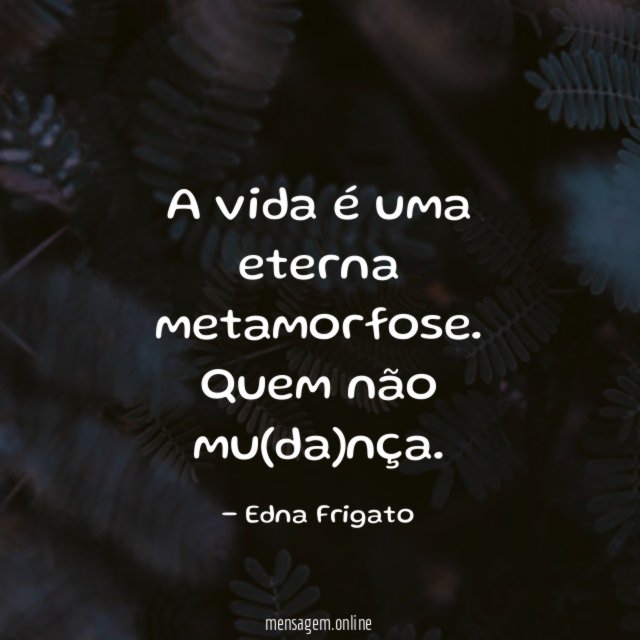 A vida é uma eterna metamorfose