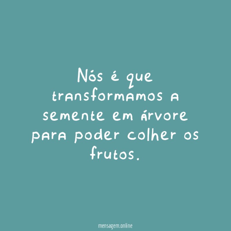 Nós é que transformamos a semente em árvore