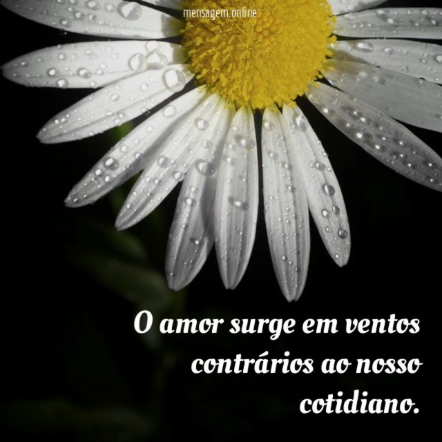 O amor surge em ventos contrários ao nosso cotidiano