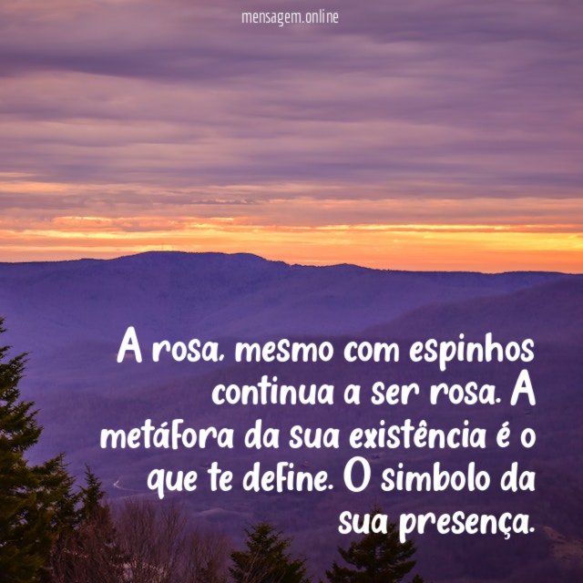A rosa