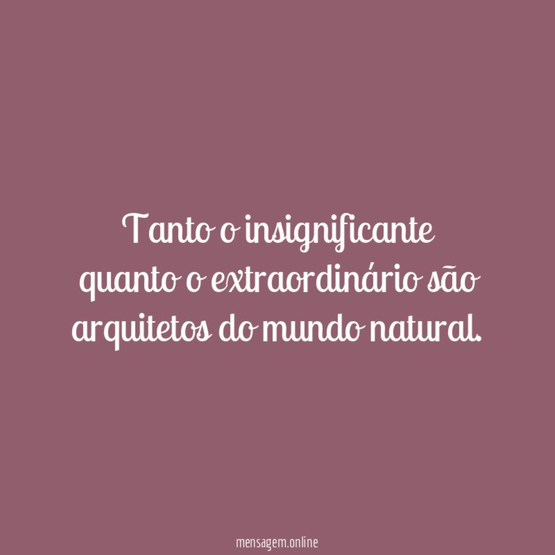 Tanto o insignificante quanto o extraordinário são arquitetos
