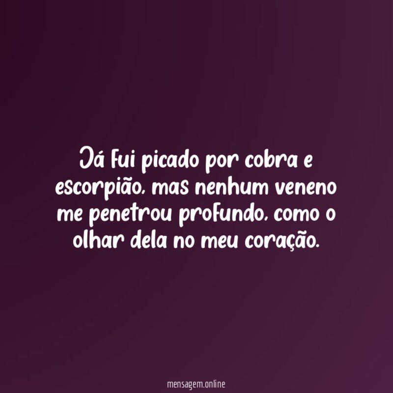 Já fui picado por cobra e escorpião